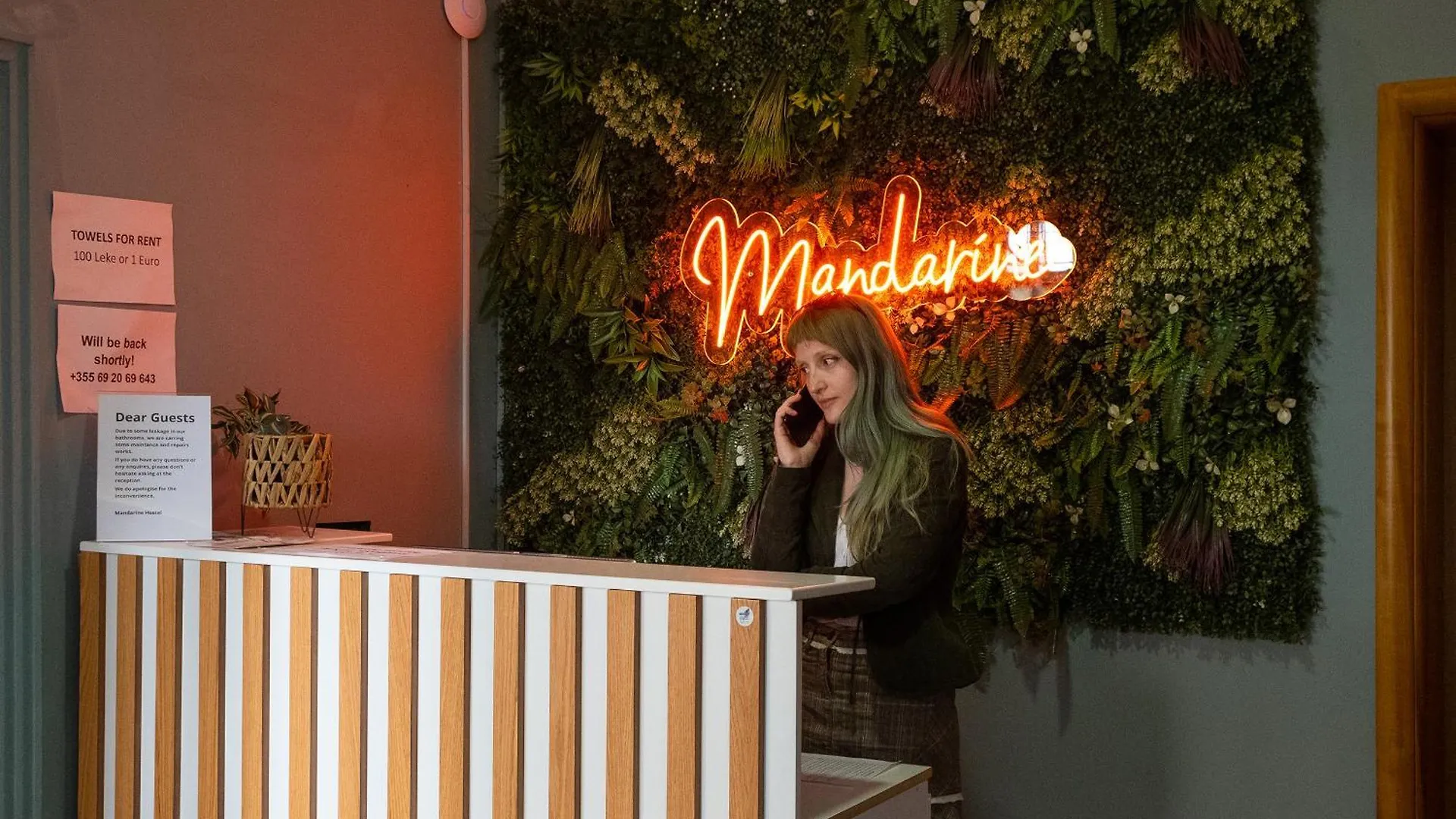 Mandarine Hostel Tirana